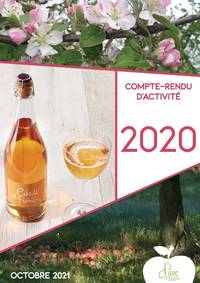 compte-rendu d'activité 2020