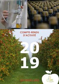 compte-rendu d'activité 2019