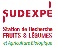 SUDEXPE