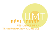 UMT Résilicidre