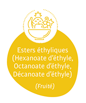 esters éthyliques