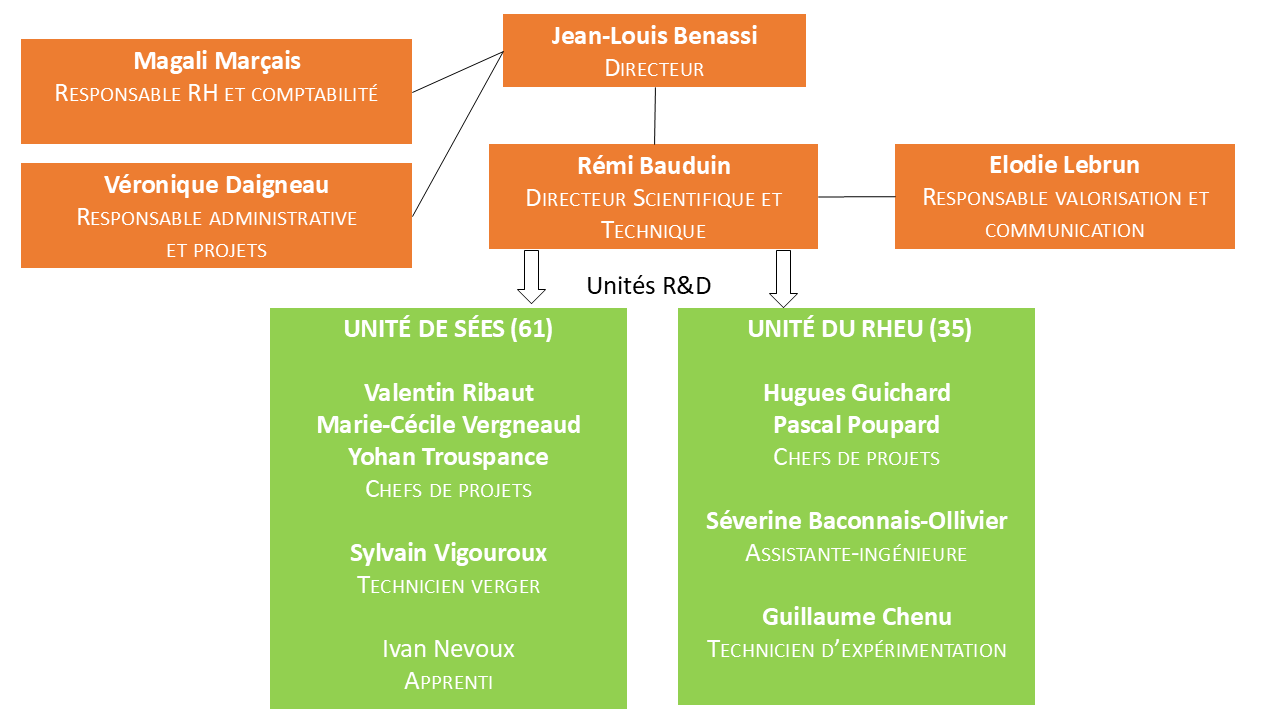 organigramme et gouvernance 1 organigramme IFPC